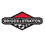 Briggs & Stratton